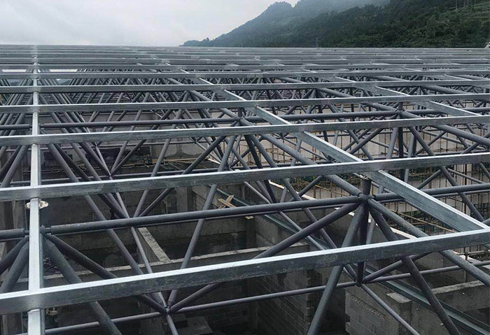 新疆学校艺体楼网架